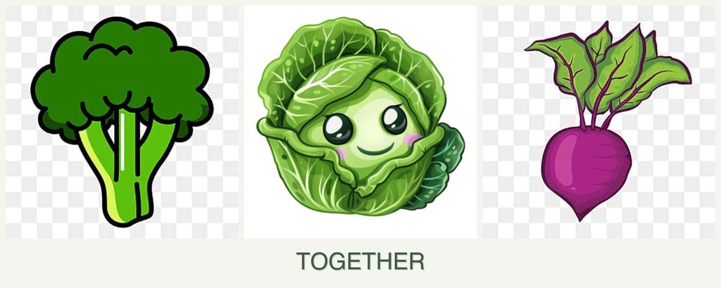 Can you plant broccoli, cabbage and beets together?