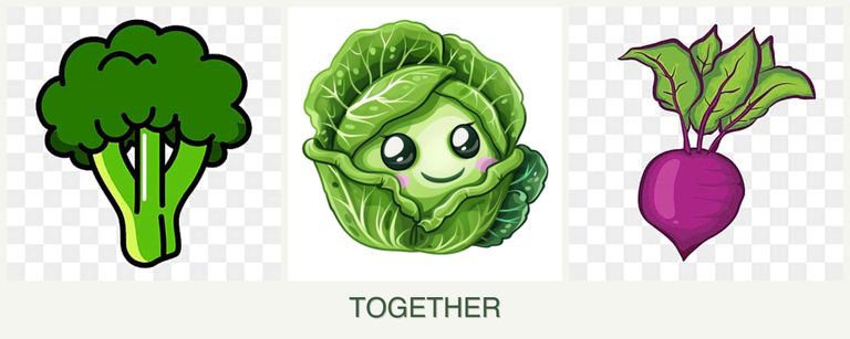 Can you plant broccoli, cabbage and beets together?