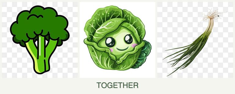 Can you plant broccoli, cabbage and chives together?