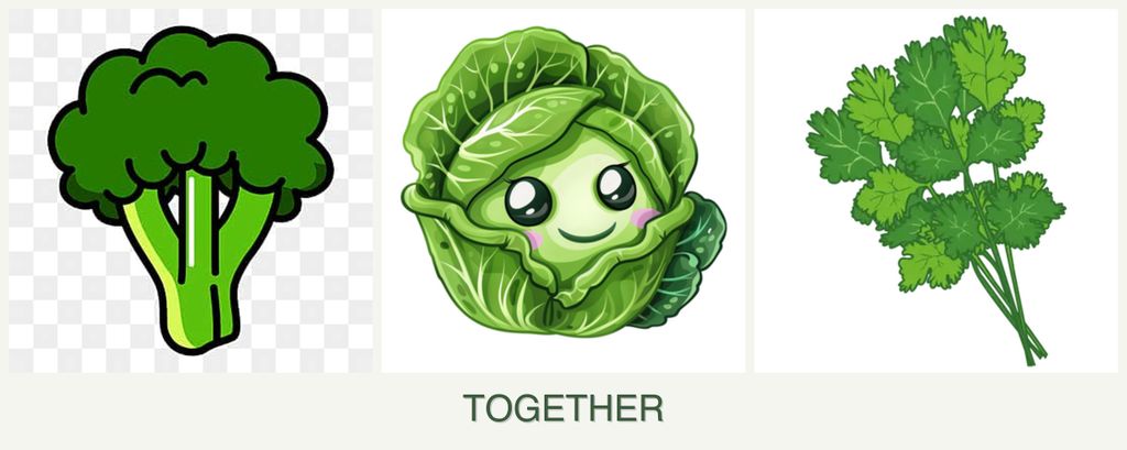 Can you plant broccoli, cabbage and cilantro together?