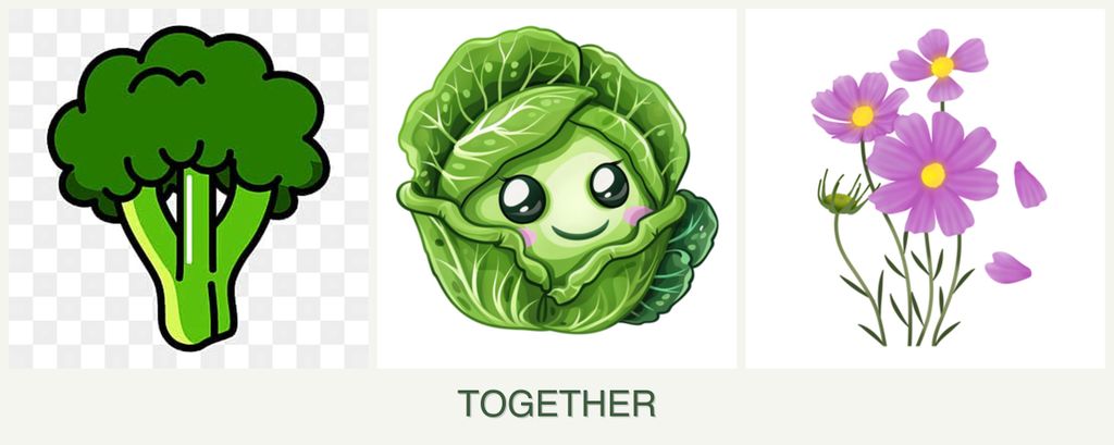 Can you plant broccoli, cabbage and cosmos together?