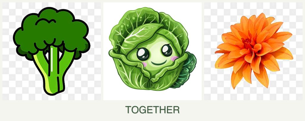 Can you plant broccoli, cabbage and dahlias together?