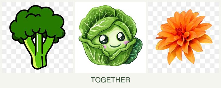 Can you plant broccoli, cabbage and dahlias together?
