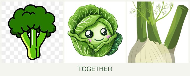 Can you plant broccoli, cabbage and fennel together?