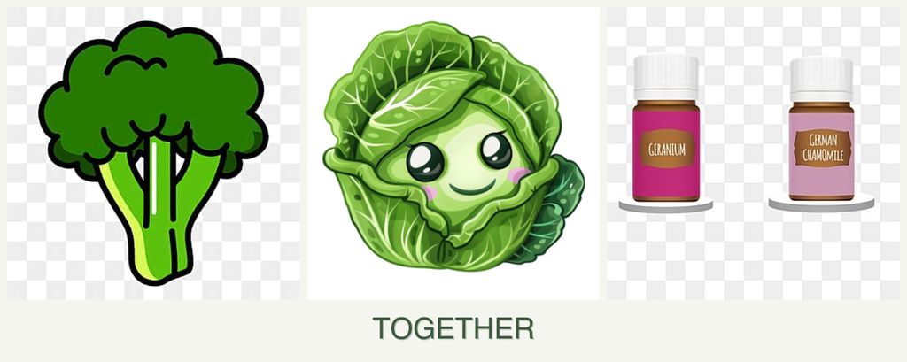 Can you plant broccoli, cabbage and geraniums together?