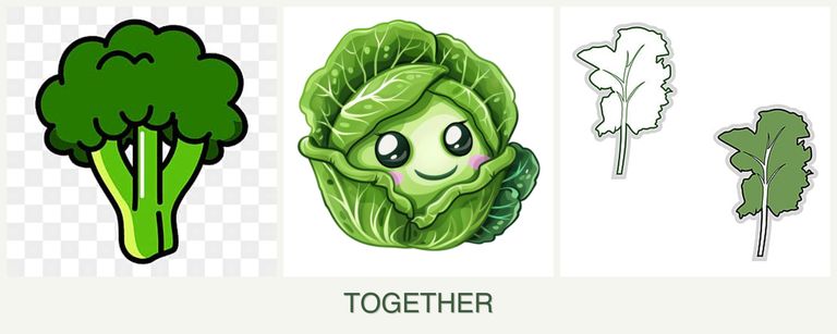 Can you plant broccoli, cabbage and kale together?