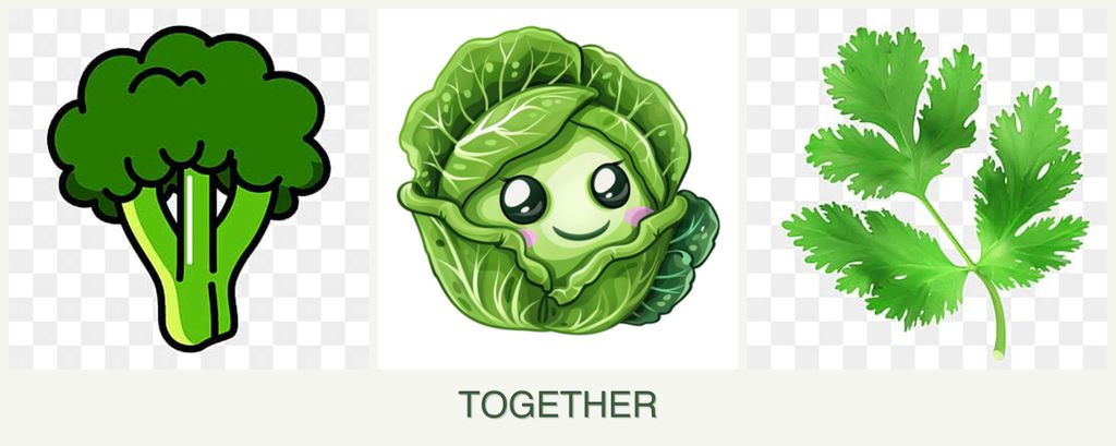 Can you plant broccoli, cabbage and parsley together?