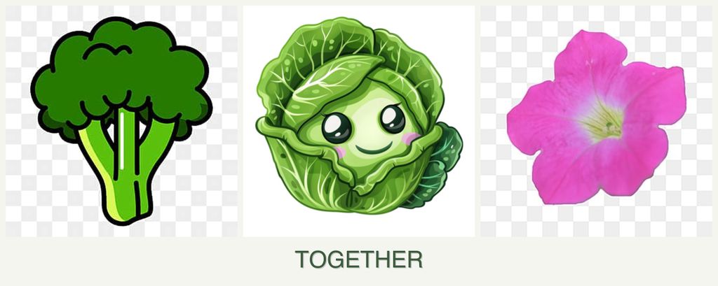 Can you plant broccoli, cabbage and petunias together?