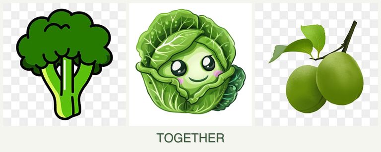 Can you plant broccoli, cabbage and plums together?