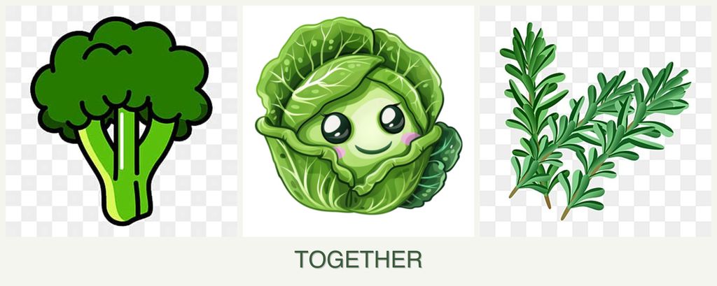 Can you plant broccoli, cabbage and rosemary together?