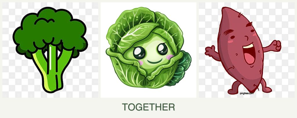 Can you plant broccoli, cabbage and sweet potatoes together?