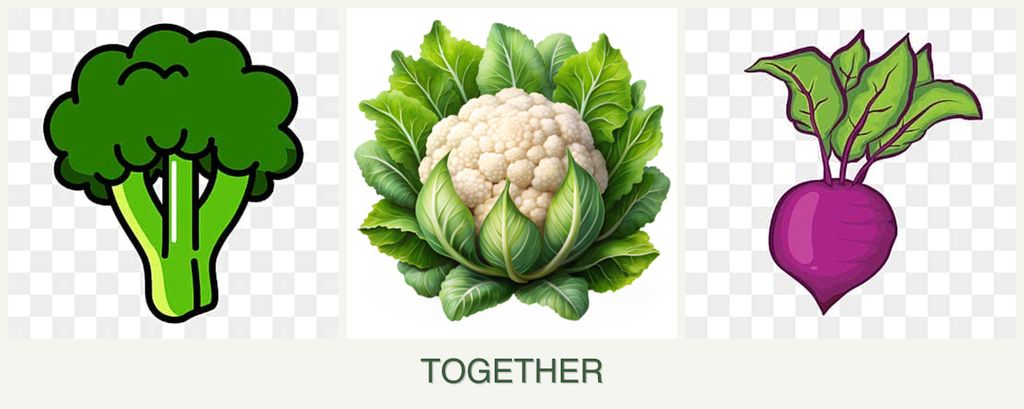 Can you plant broccoli, cauliflower and beets together?