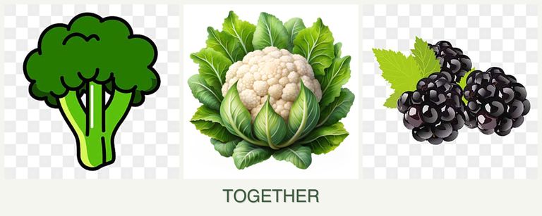 Can you plant broccoli, cauliflower and blackberries together?