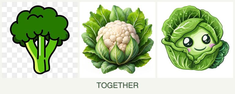 Can you plant broccoli, cauliflower and cabbage together?