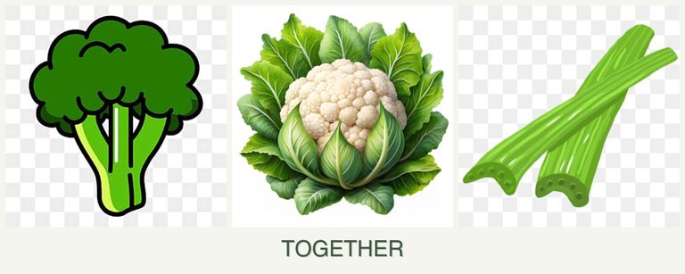 Can you plant broccoli, cauliflower and celery together?