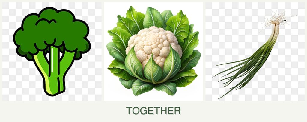 Can you plant broccoli, cauliflower and chives together?