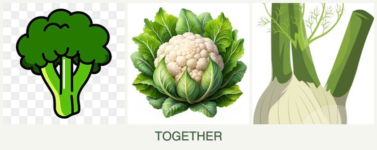 Can you plant broccoli, cauliflower and fennel together?