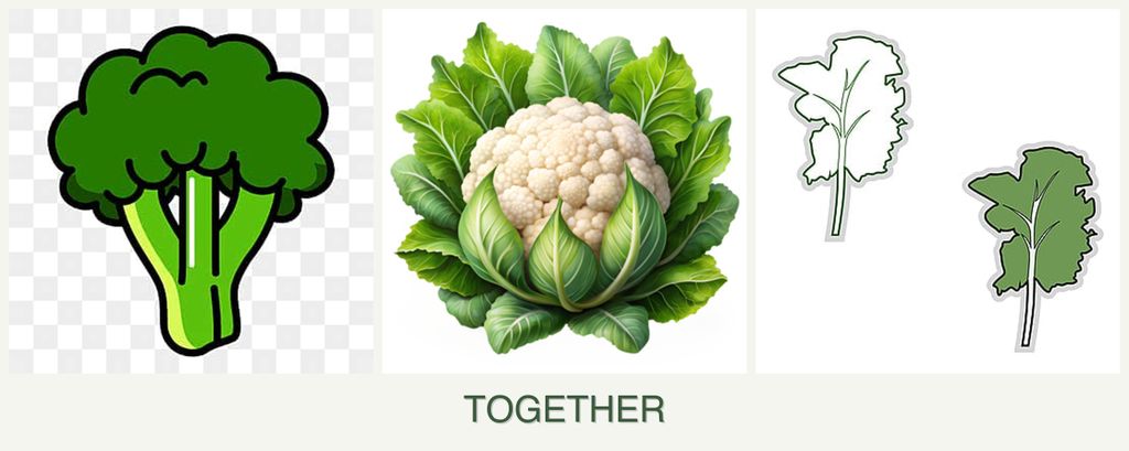 Can you plant broccoli, cauliflower and kale together?