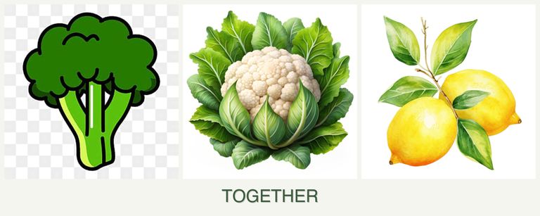 Can you plant broccoli, cauliflower and lemons together?