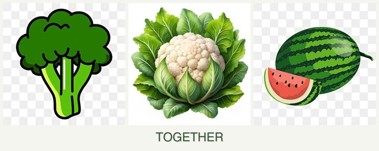 Can you plant broccoli, cauliflower and melons together?