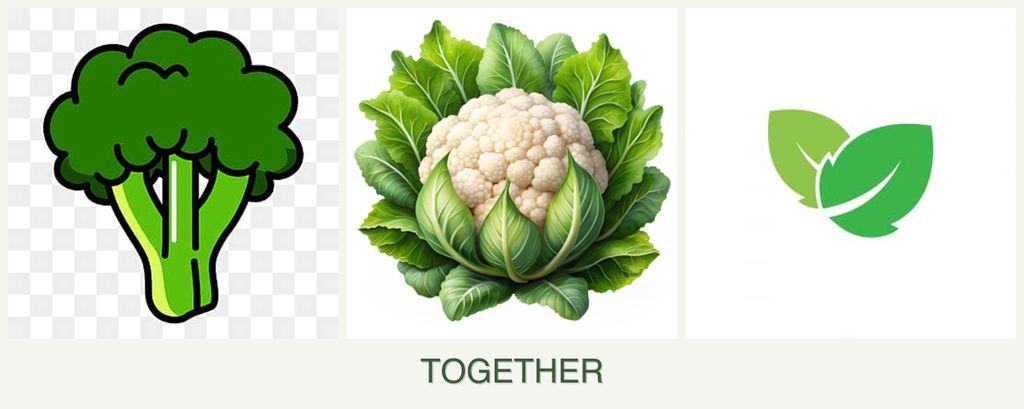 Can you plant broccoli, cauliflower and mint together?