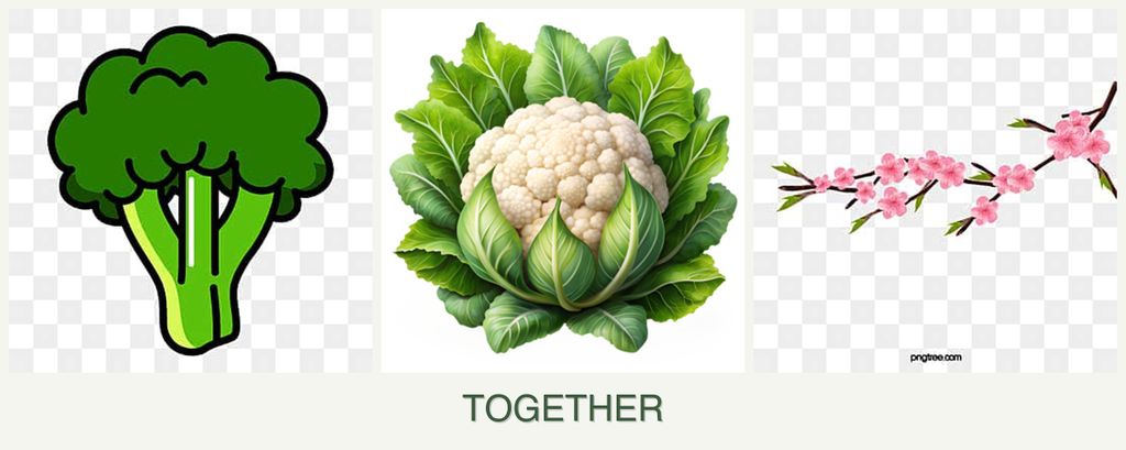 Can you plant broccoli, cauliflower and peaches together?