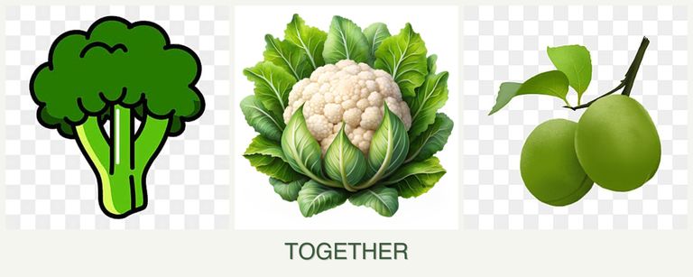 Can you plant broccoli, cauliflower and plums together?