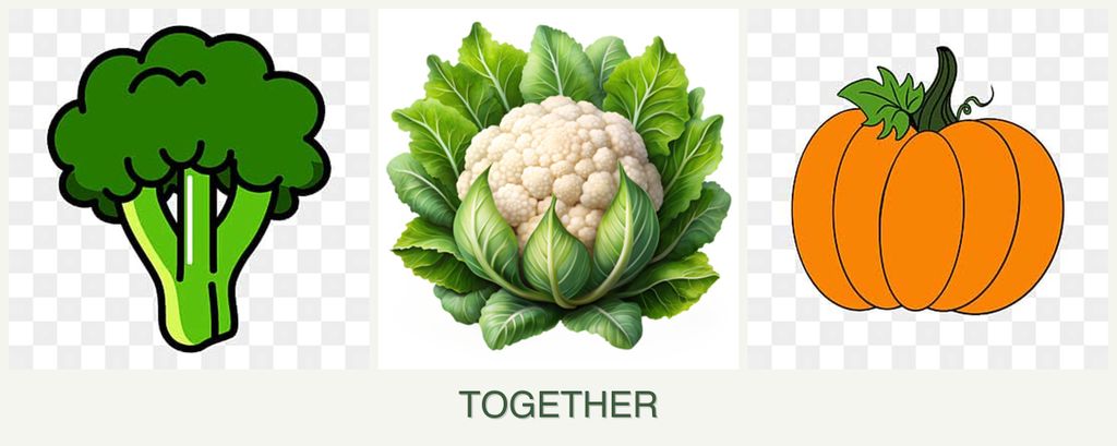 Can you plant broccoli, cauliflower and pumpkin together?