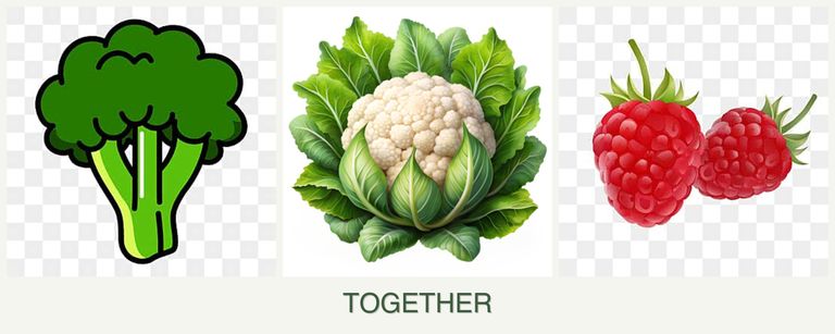 Can you plant broccoli, cauliflower and raspberries together?