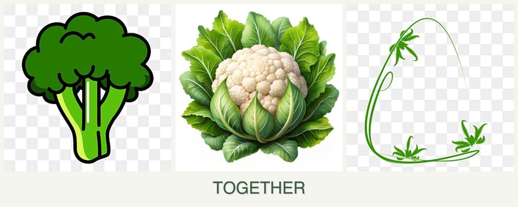 Can you plant broccoli, cauliflower and tarragon together?
