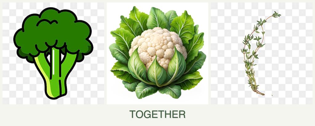 Can you plant broccoli, cauliflower and thyme together?