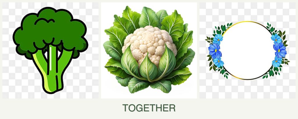 Can you plant broccoli, cauliflower and zinnias together?