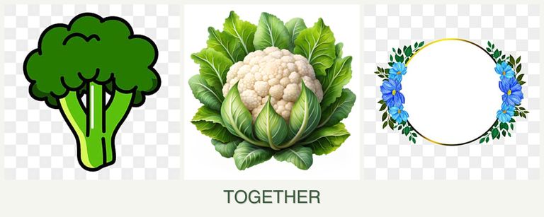 Can you plant broccoli, cauliflower and zinnias together?