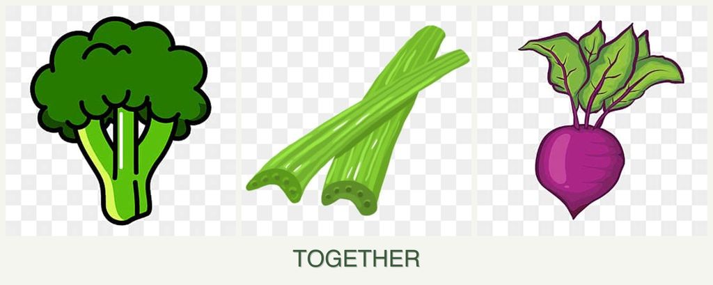 Can you plant broccoli, celery and beets together?