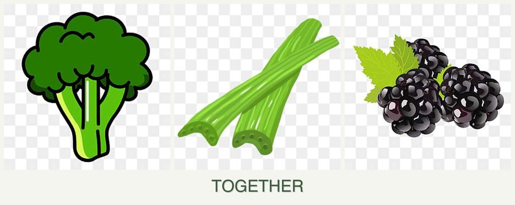 Can you plant broccoli, celery and blackberries together?