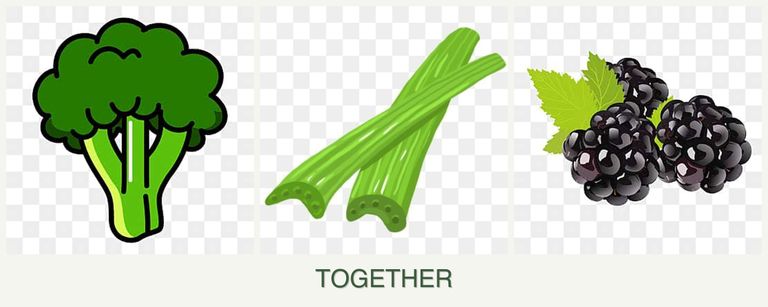 Can you plant broccoli, celery and blackberries together?