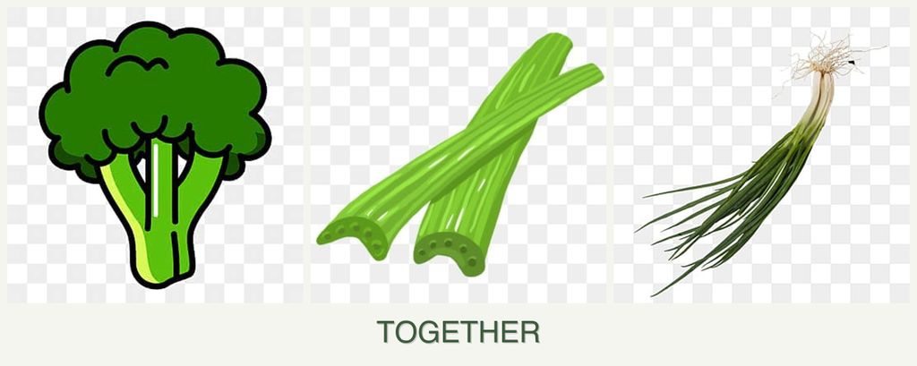 Can you plant broccoli, celery and chives together?