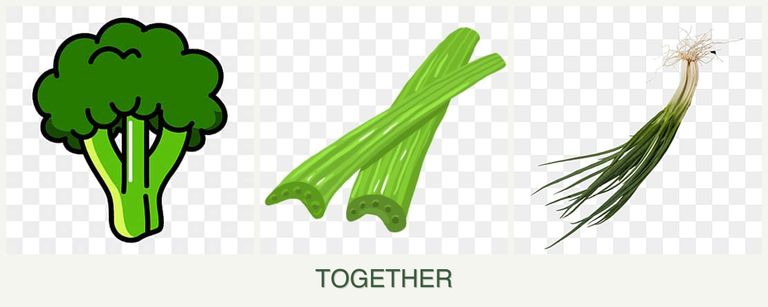 Can you plant broccoli, celery and chives together?