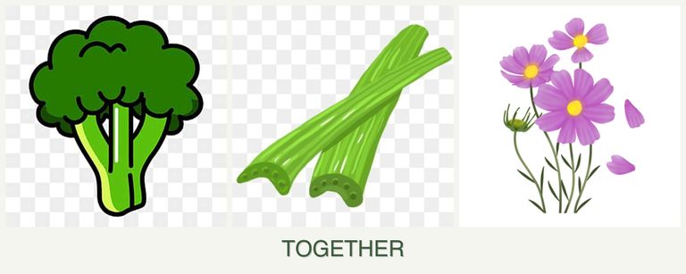 Can you plant broccoli, celery and cosmos together?