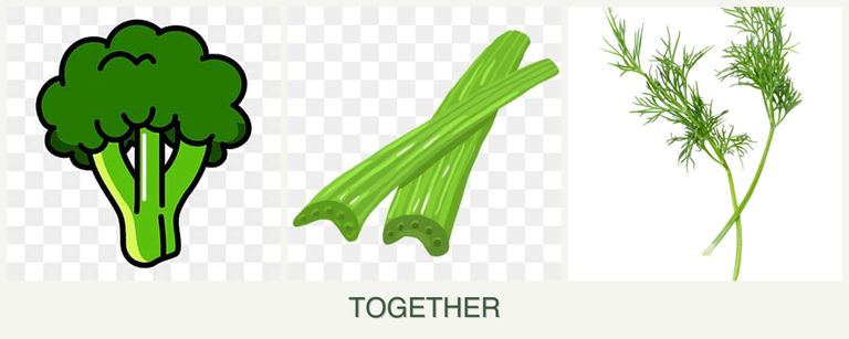 Can you plant broccoli, celery and dill together?
