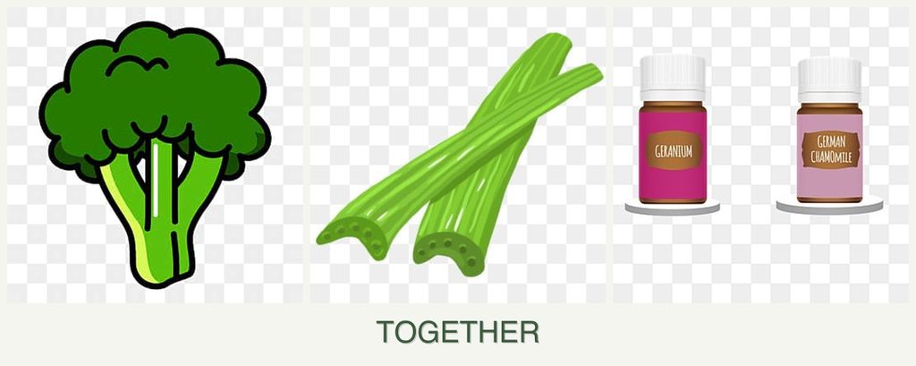 Can you plant broccoli, celery and geraniums together?