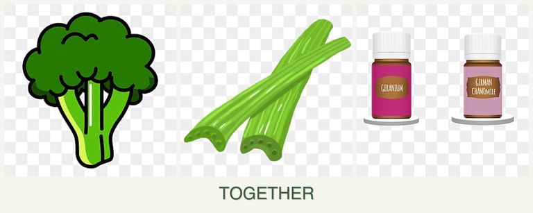 Can you plant broccoli, celery and geraniums together?