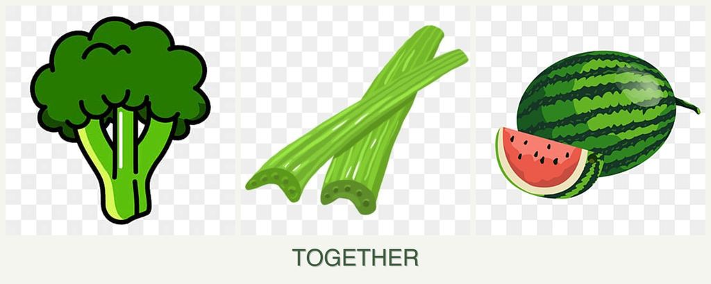 Can you plant broccoli, celery and melons together?