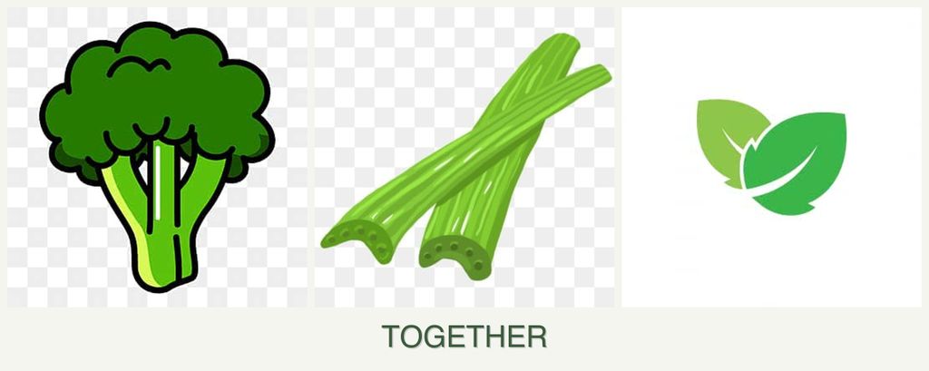 Can you plant broccoli, celery and mint together?