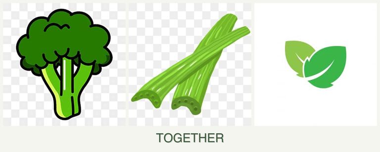 Can you plant broccoli, celery and mint together?
