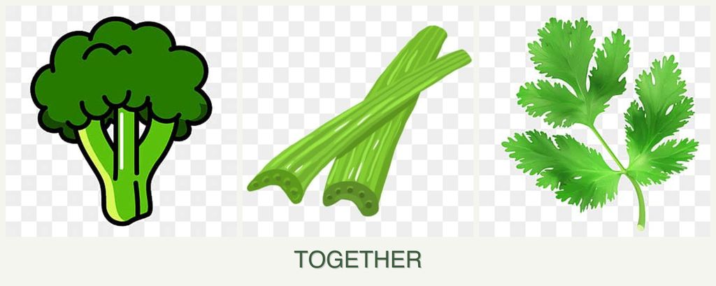 Can you plant broccoli, celery and parsley together?