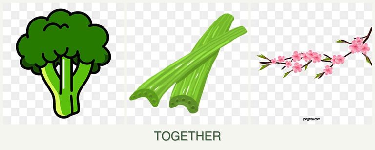 Can you plant broccoli, celery and peaches together?
