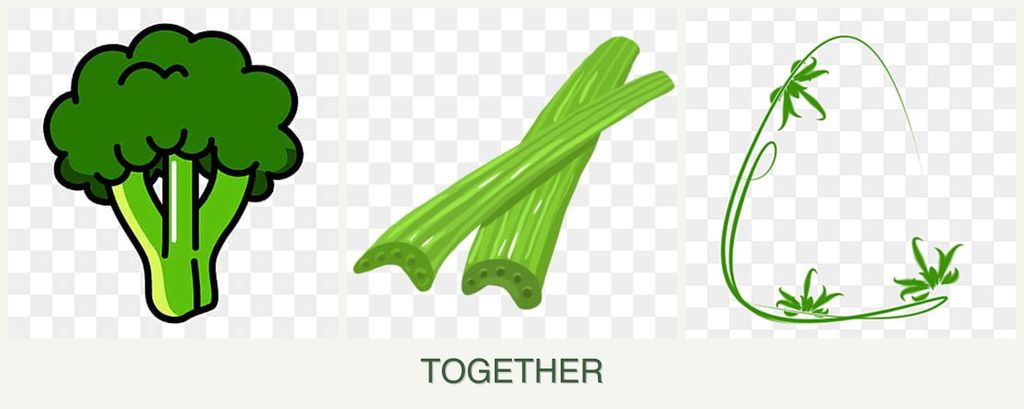 Can you plant broccoli, celery and tarragon together?