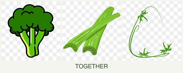 Can you plant broccoli, celery and tarragon together?