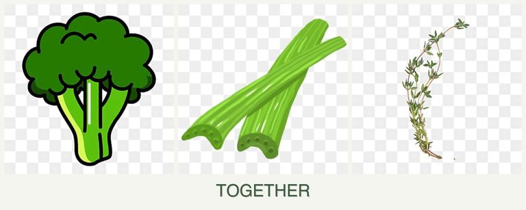 Can you plant broccoli, celery and thyme together?
